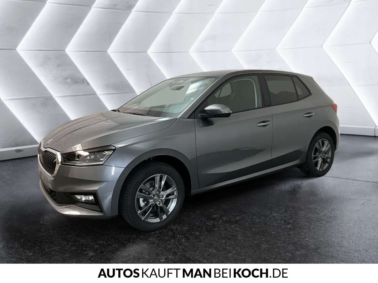Fahrzeugbild eines Skoda Fabia