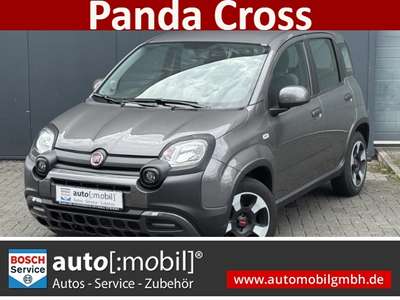 Bild Fiat Panda