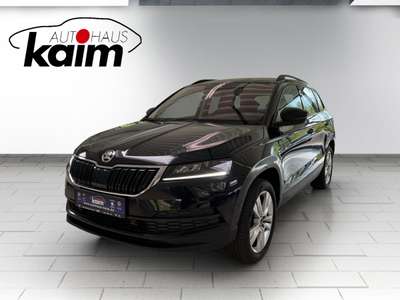 Bild Skoda Karoq