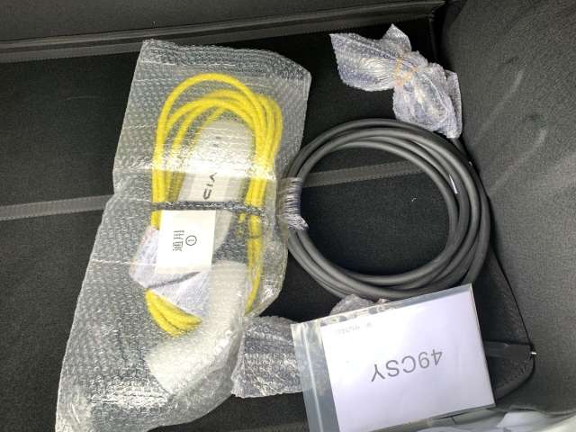 Fahrzeugbild eines Dacia Spring