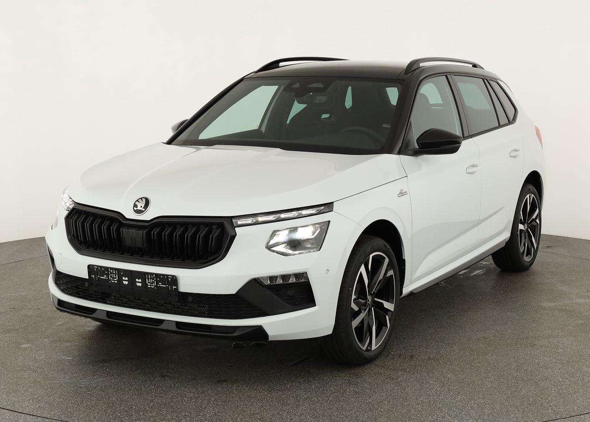 Fahrzeugbild eines Skoda Kamiq