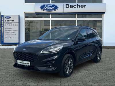 Bild Ford Kuga