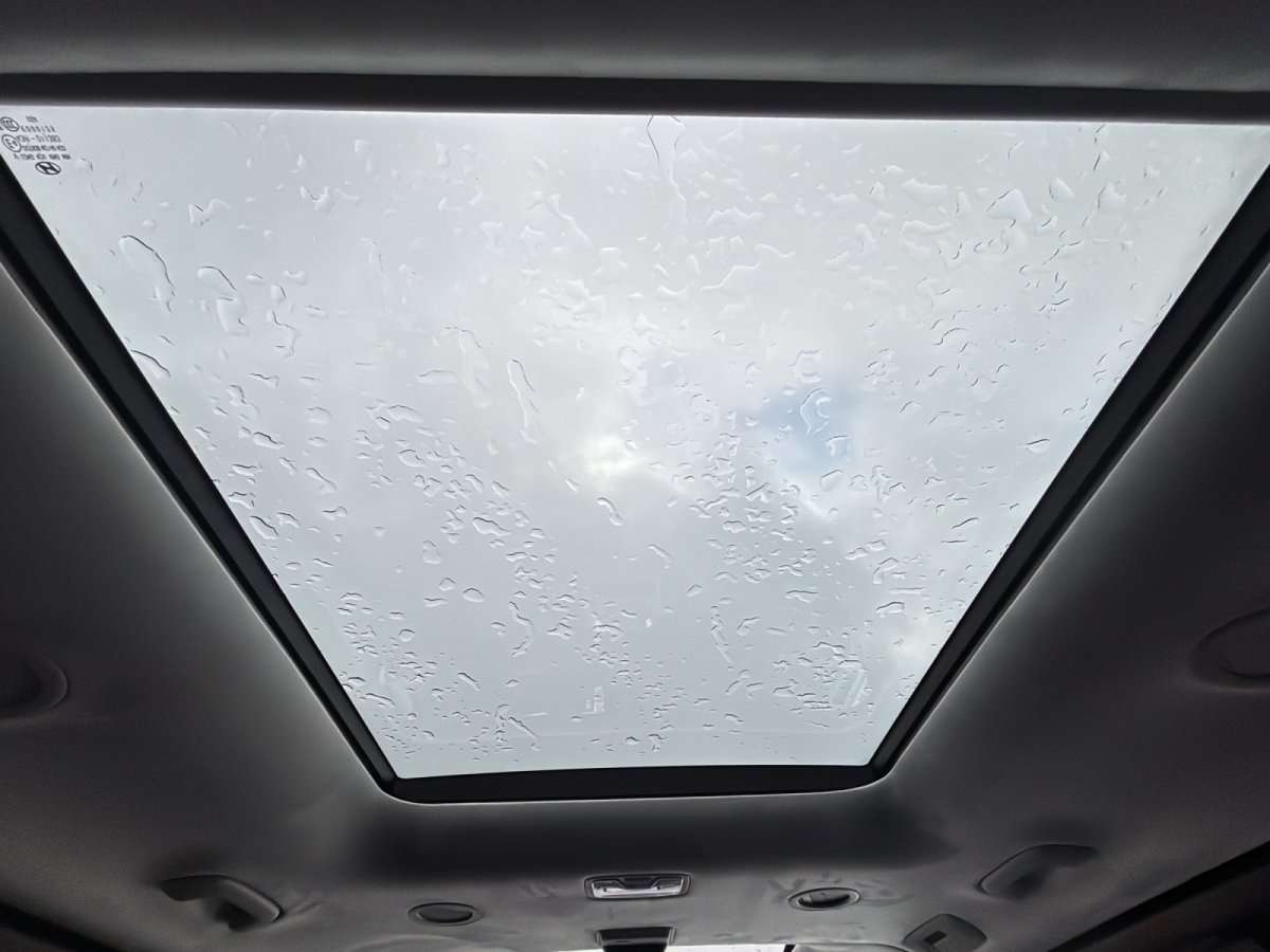 Fahrzeugbild eines Hyundai Staria