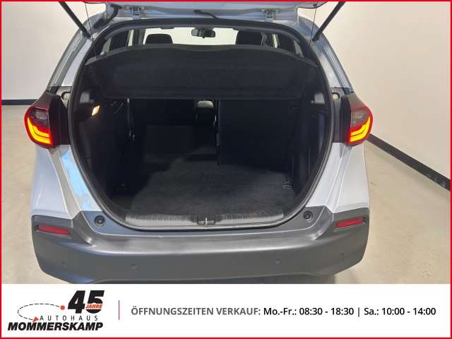 Fahrzeugbild eines Honda Jazz