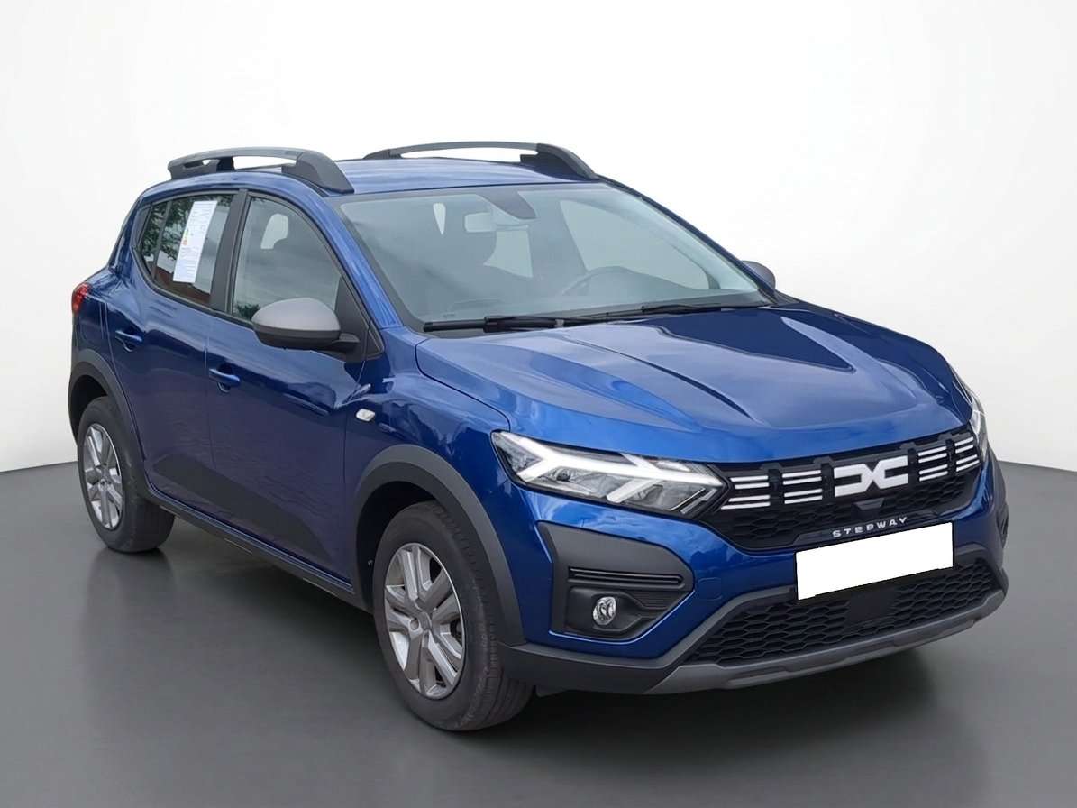 Fahrzeugbild eines Dacia Sandero