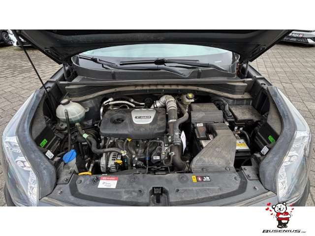 Fahrzeugbild eines Kia Sportage