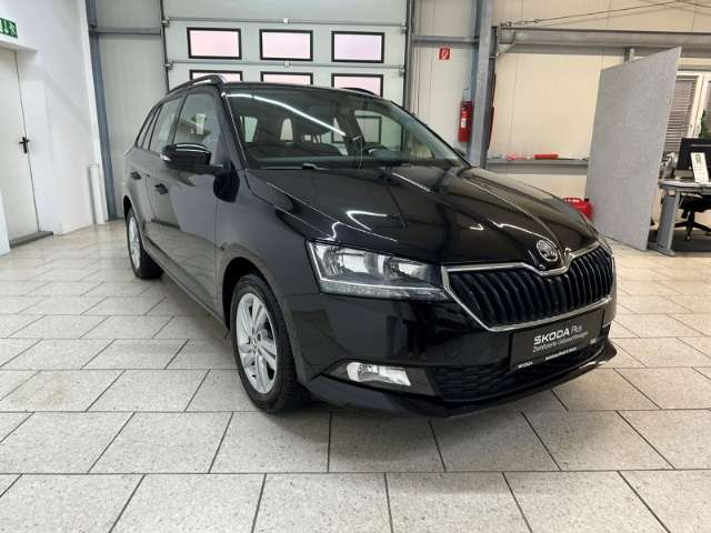 Fahrzeugbild eines Skoda Fabia