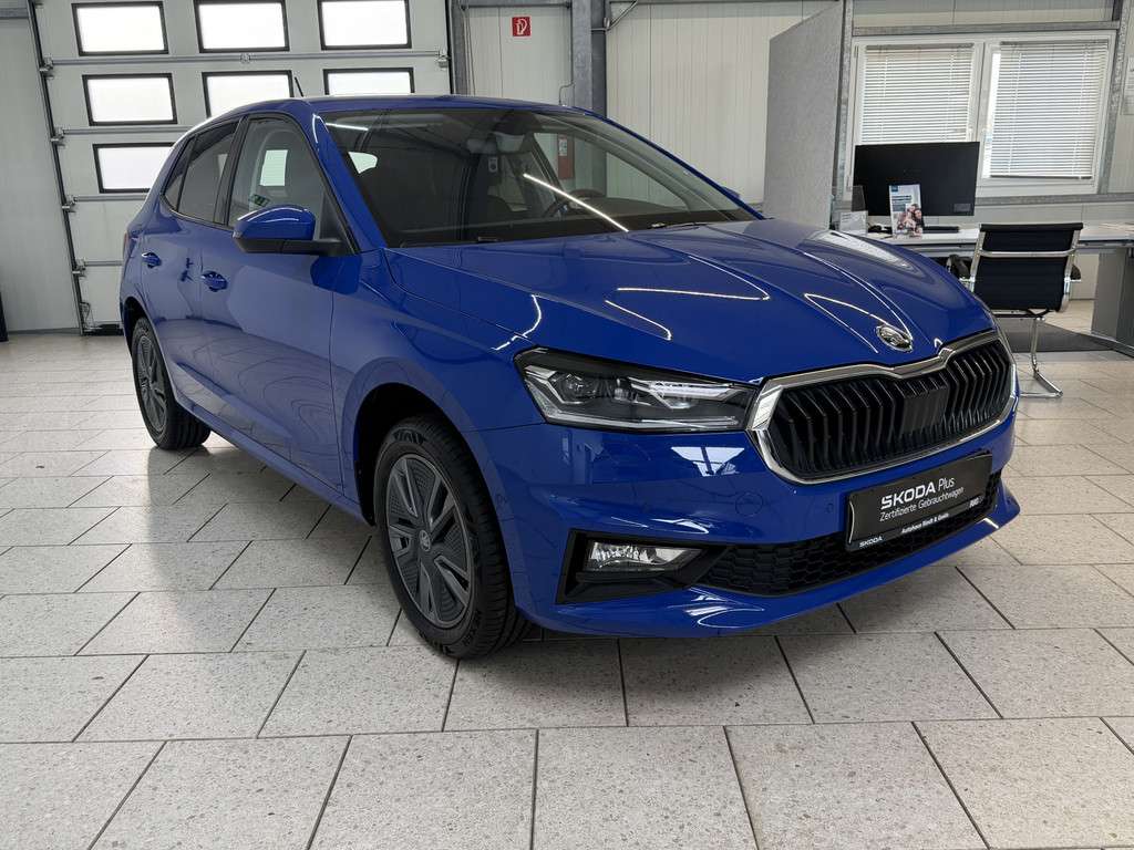 Fahrzeugbild eines Skoda Fabia