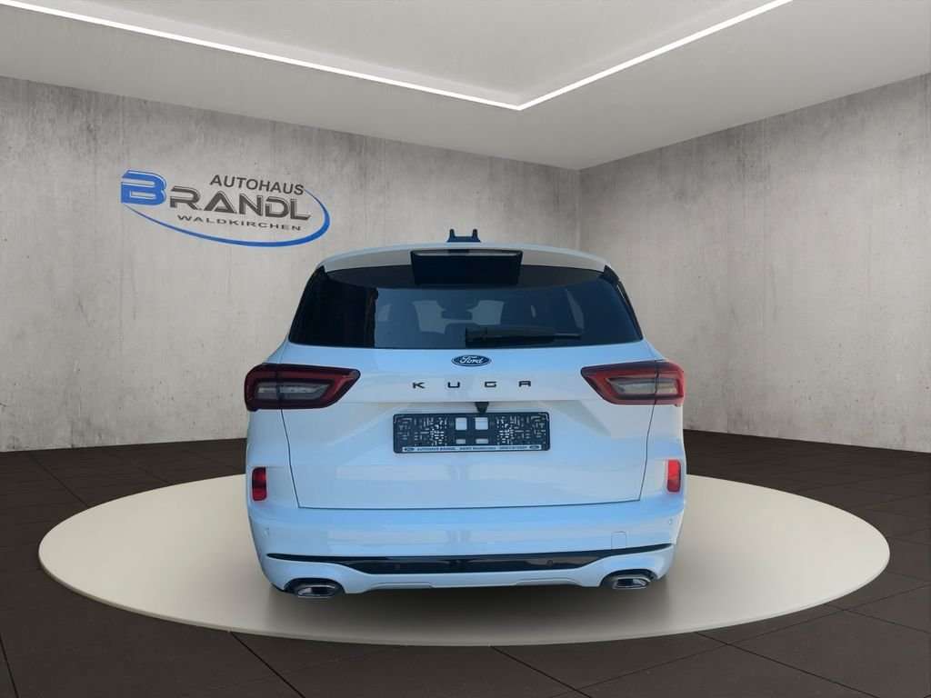Fahrzeugbild eines Ford Kuga
