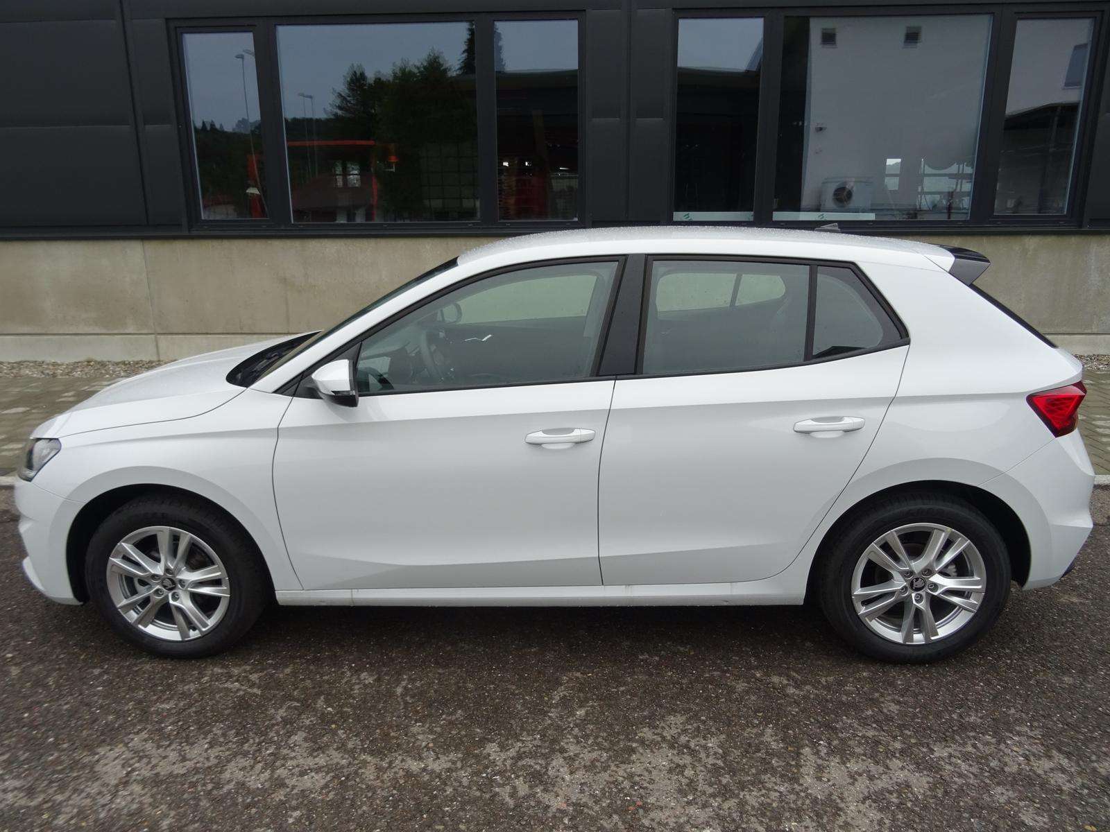 Fahrzeugbild eines Skoda Fabia