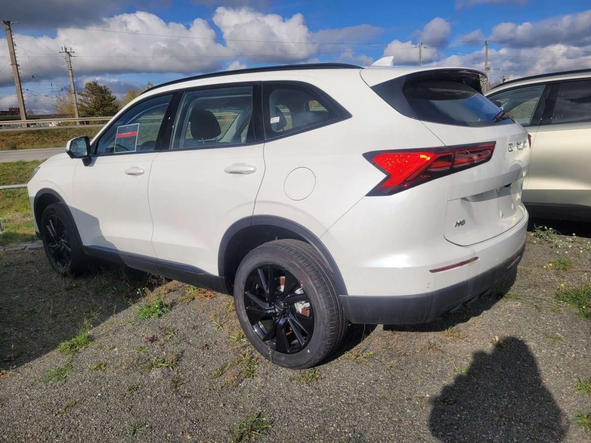 Fahrzeugbild eines GWM Haval H6