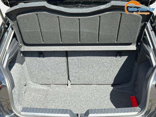 Fahrzeugbild eines SEAT Ibiza