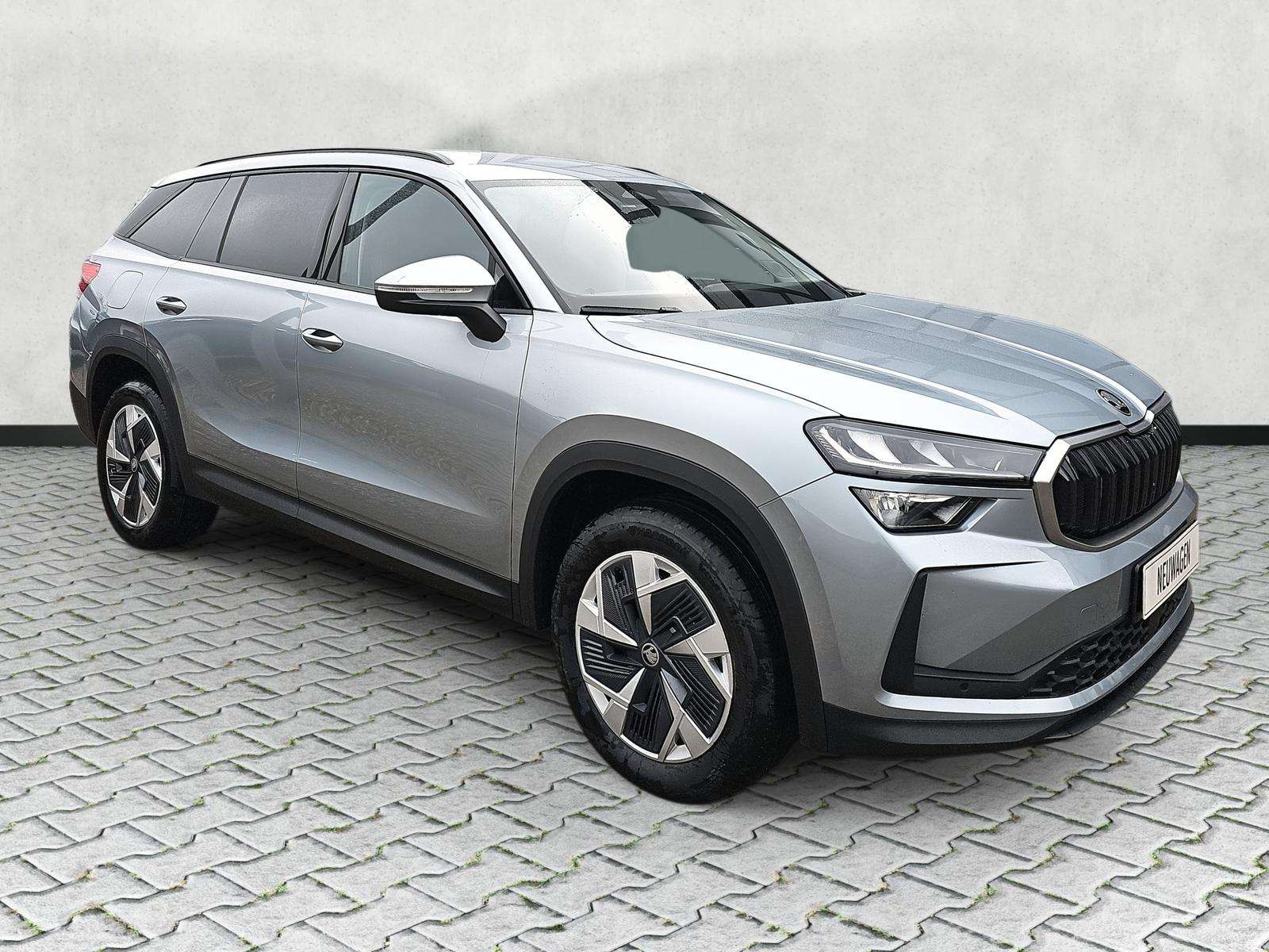 Fahrzeugbild eines Skoda Kodiaq