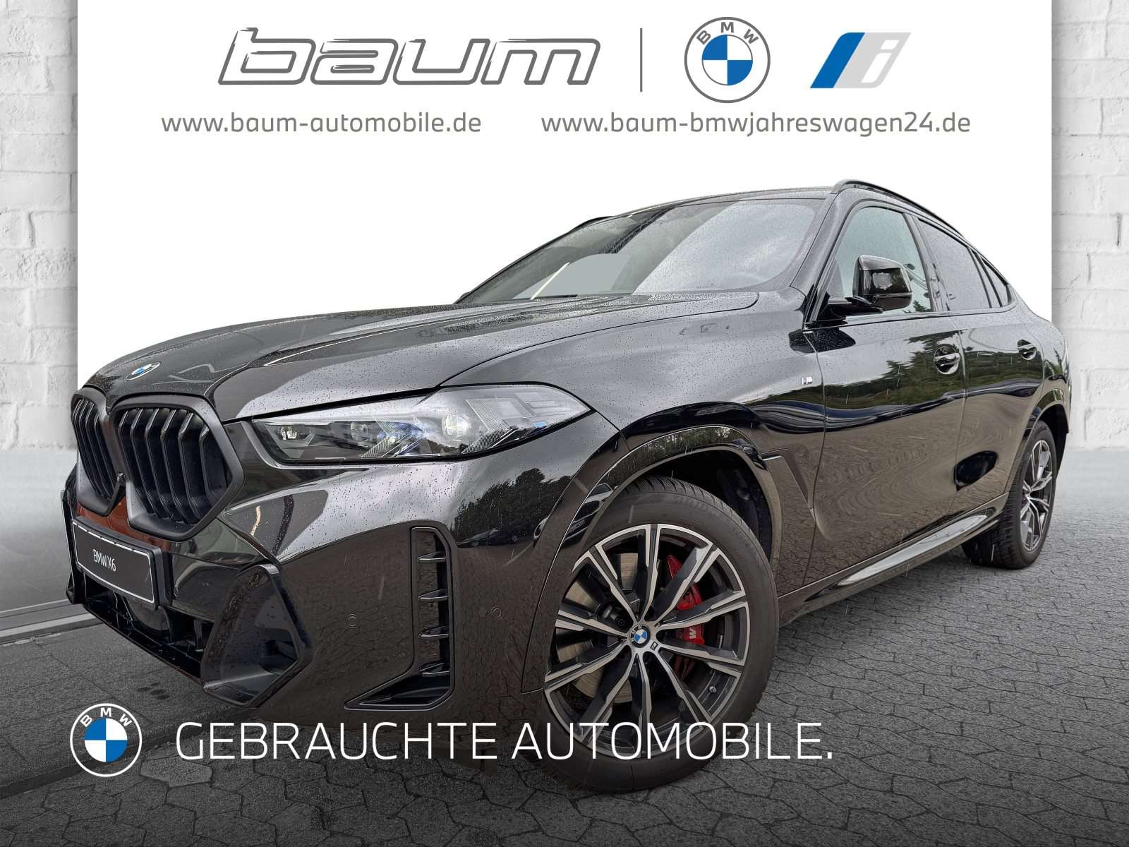 Fahrzeugbild eines BMW X6