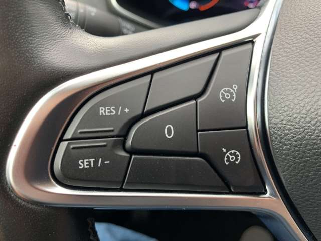 Fahrzeugbild eines Renault ZOE