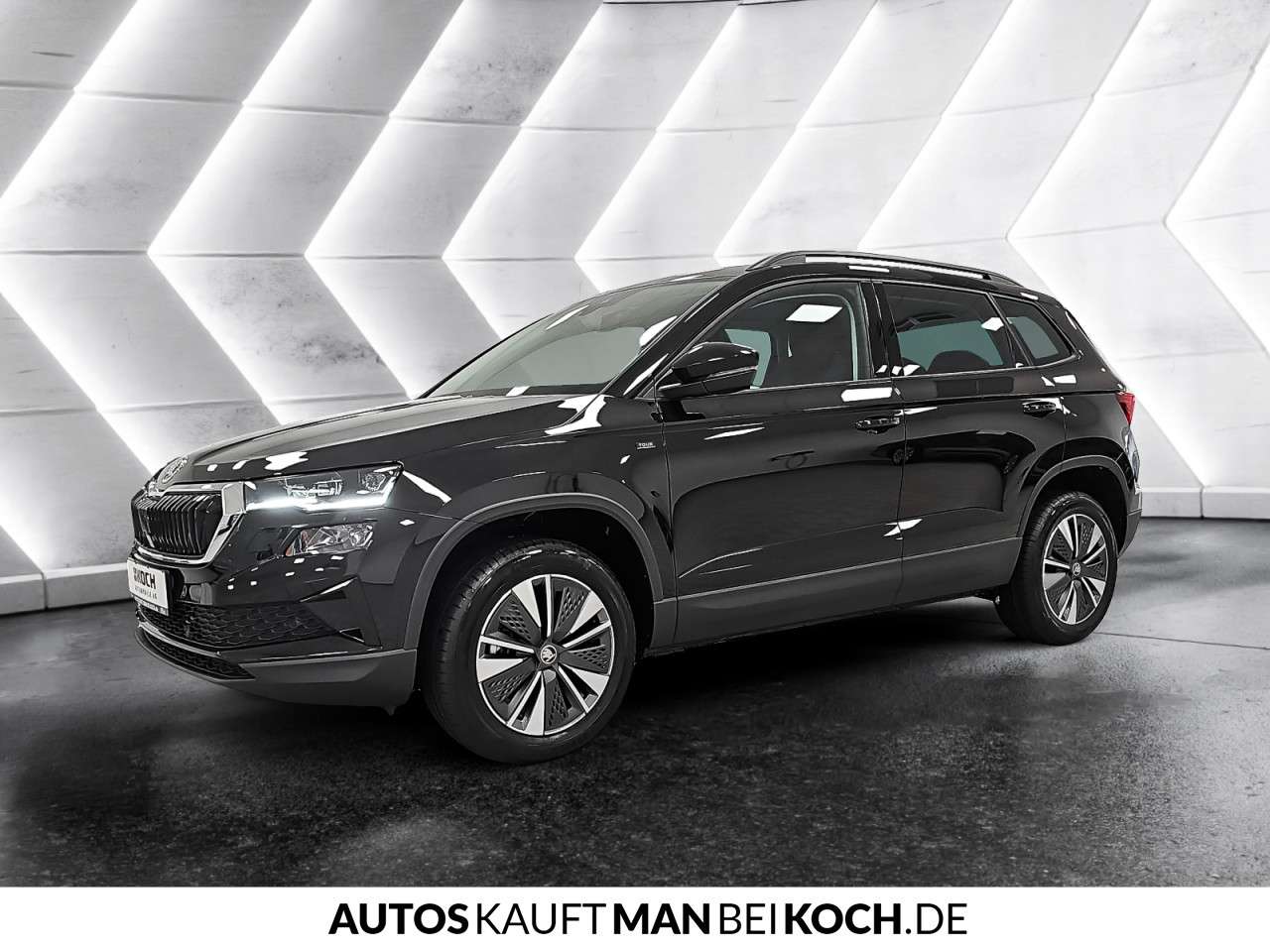 Fahrzeugbild eines Skoda Karoq