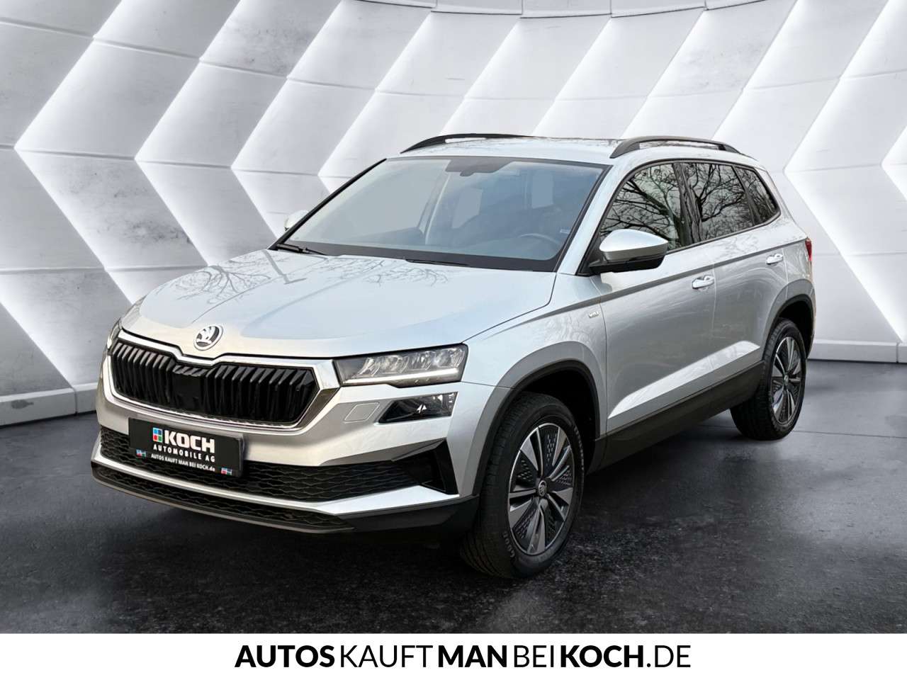 Fahrzeugbild eines Skoda Karoq