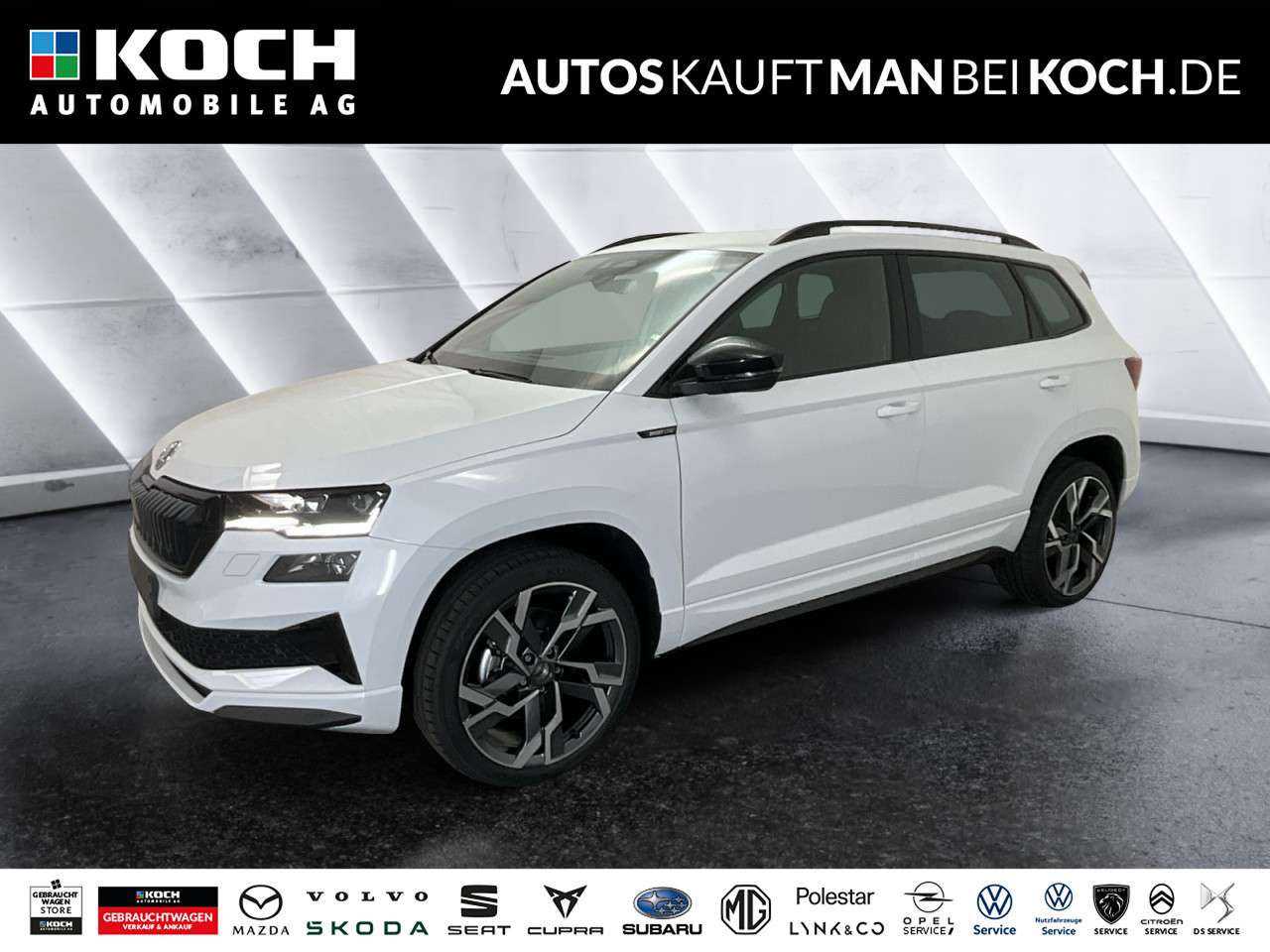 Fahrzeugbild eines Skoda Karoq