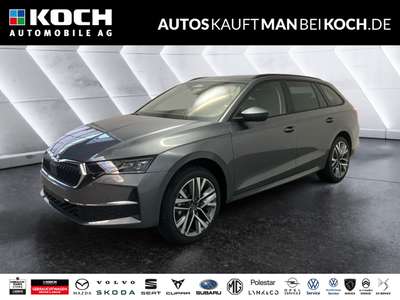 Bild Skoda Octavia