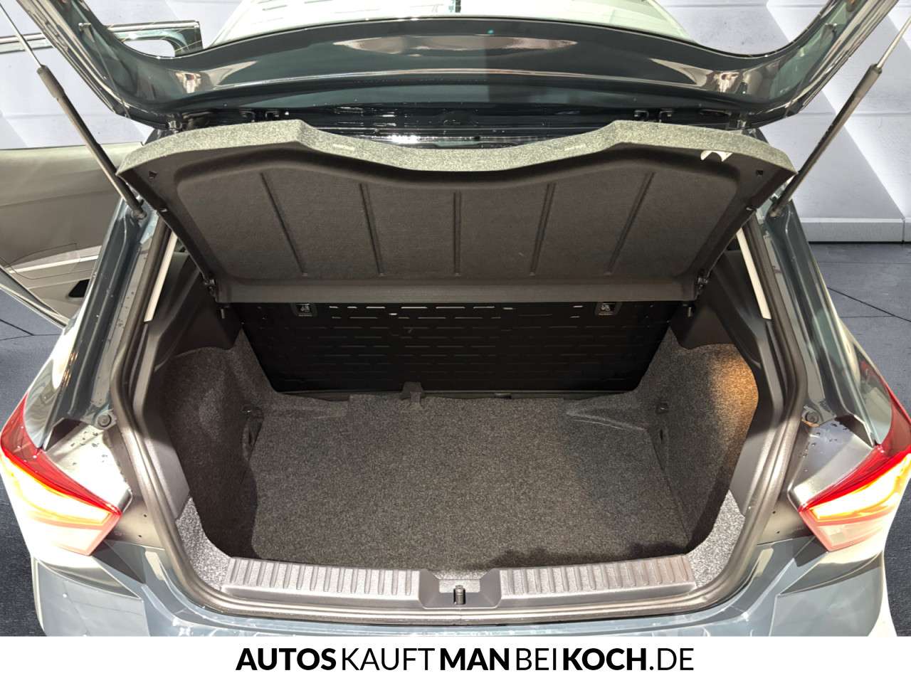 Fahrzeugbild eines SEAT Ibiza