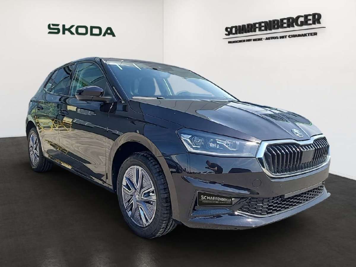 Fahrzeugbild eines Skoda Fabia