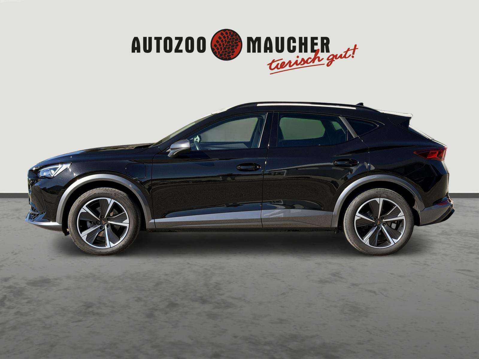 Fahrzeugbild eines CUPRA Formentor