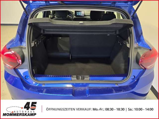 Fahrzeugbild eines Dacia Sandero
