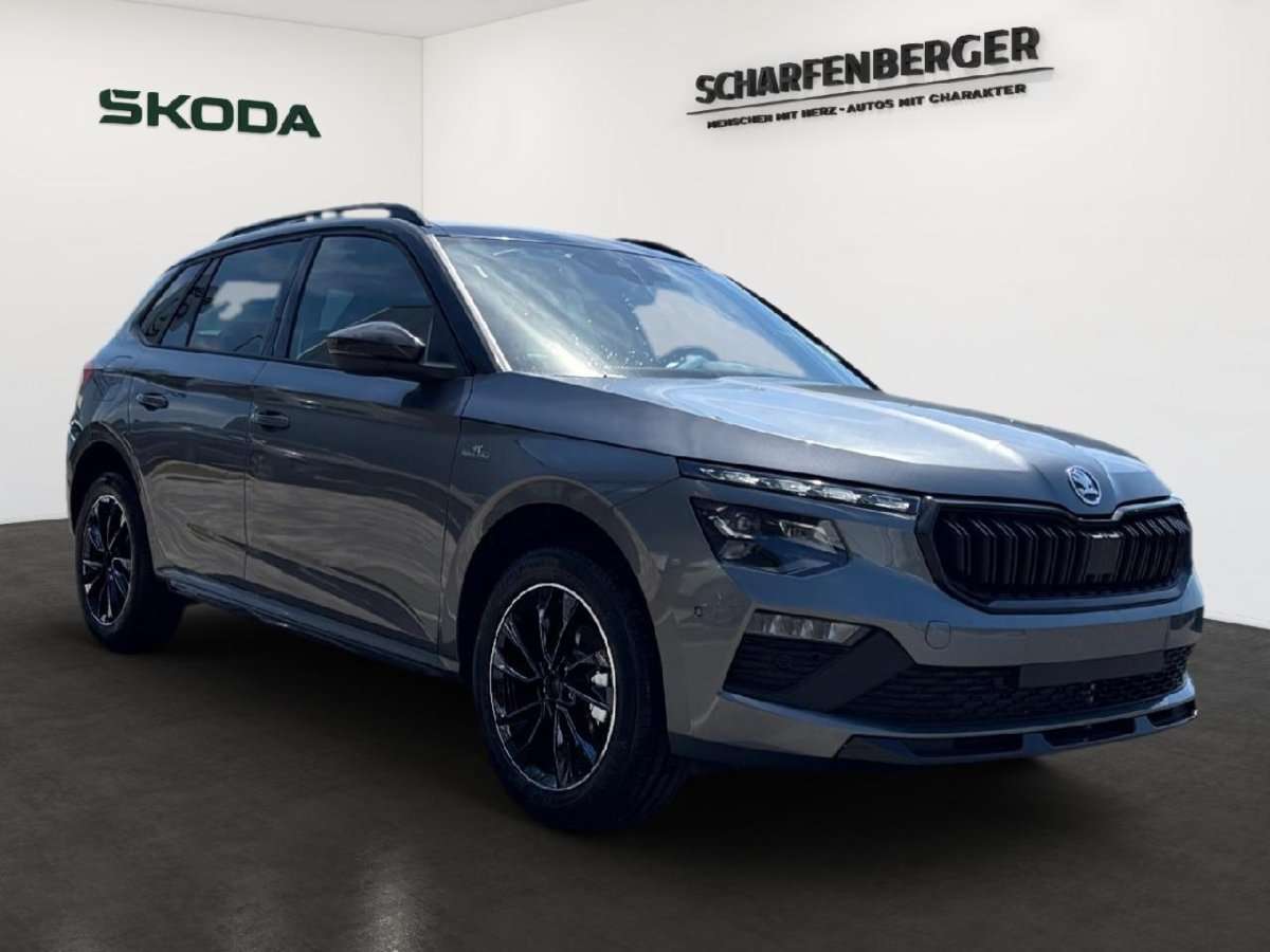Fahrzeugbild eines Skoda Kamiq