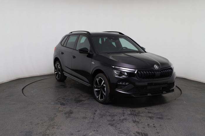 Fahrzeugbild eines Skoda Kamiq