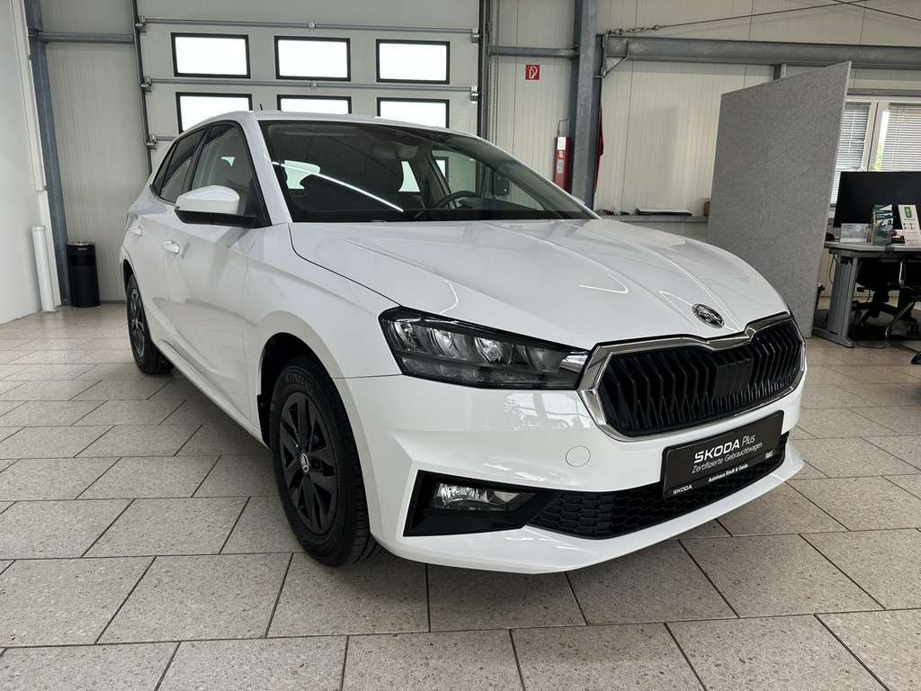 Fahrzeugbild eines Skoda Fabia