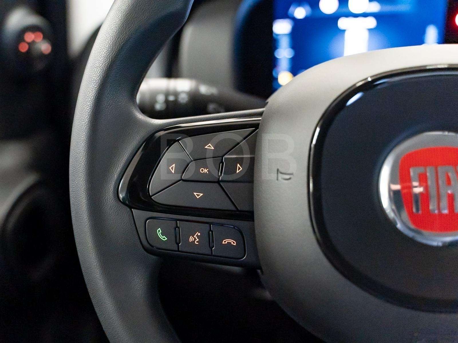 Fahrzeugbild eines Fiat Panda