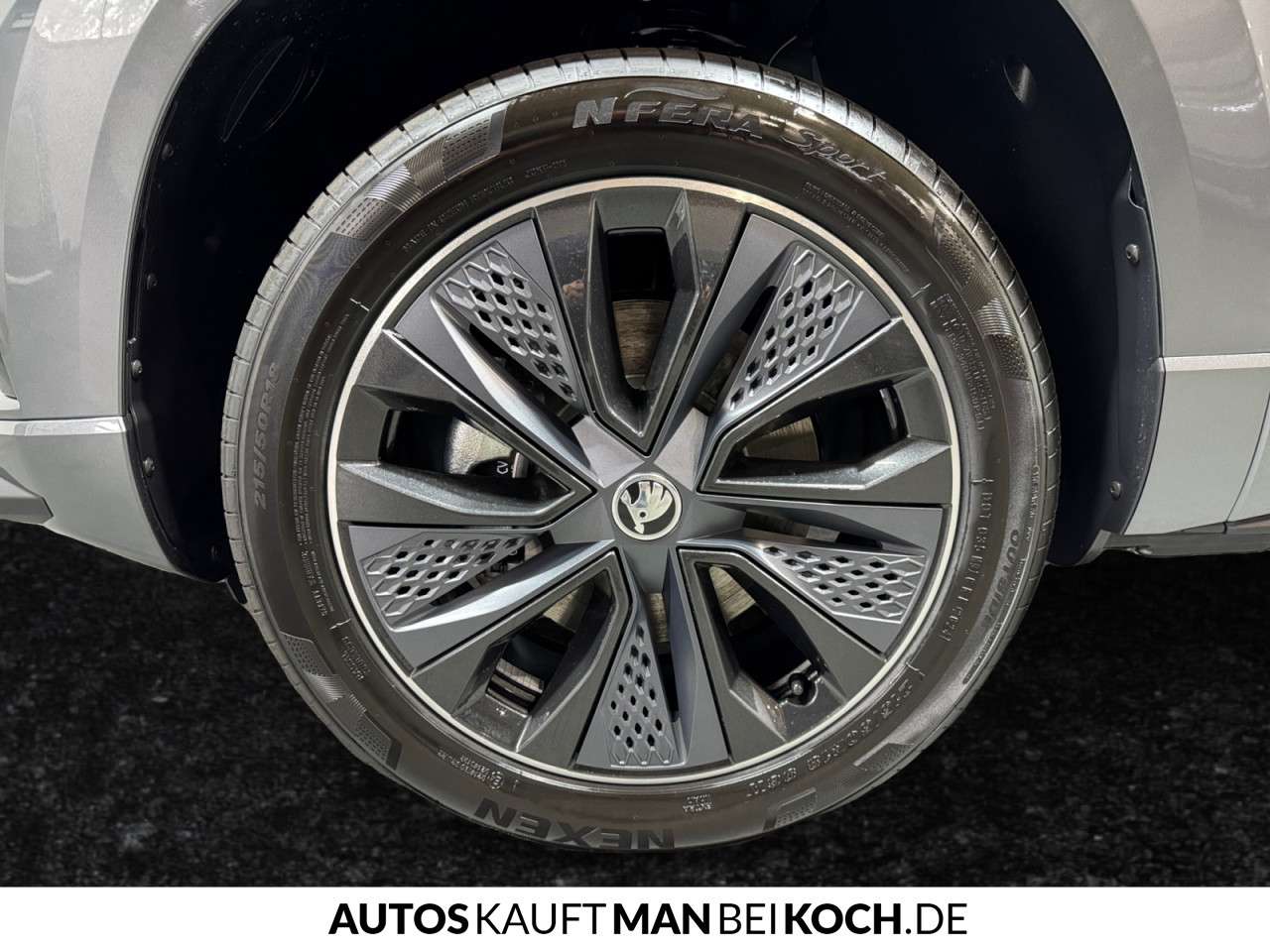 Fahrzeugbild eines Skoda Karoq