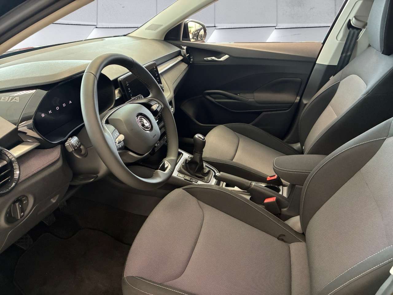 Fahrzeugbild eines Skoda Fabia