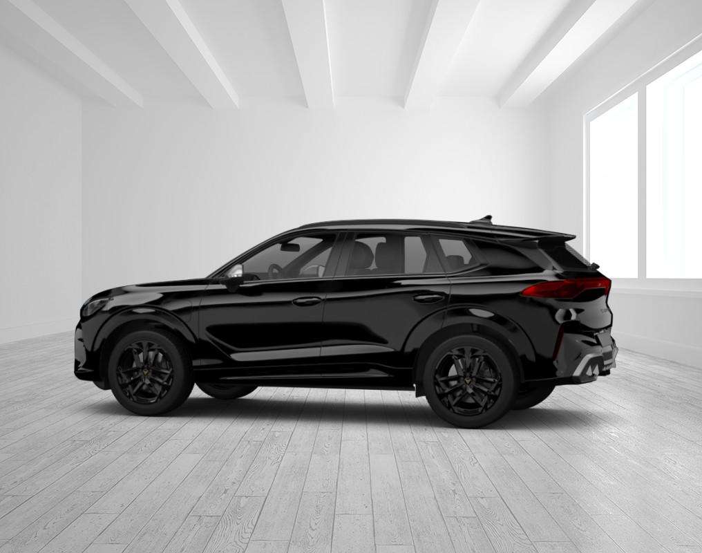 Fahrzeugbild eines CUPRA Terramar