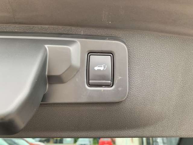 Fahrzeugbild eines Renault Rafale