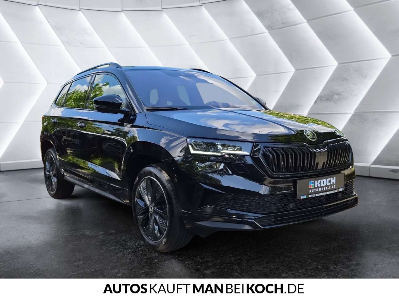 Fahrzeugbild eines Skoda Karoq