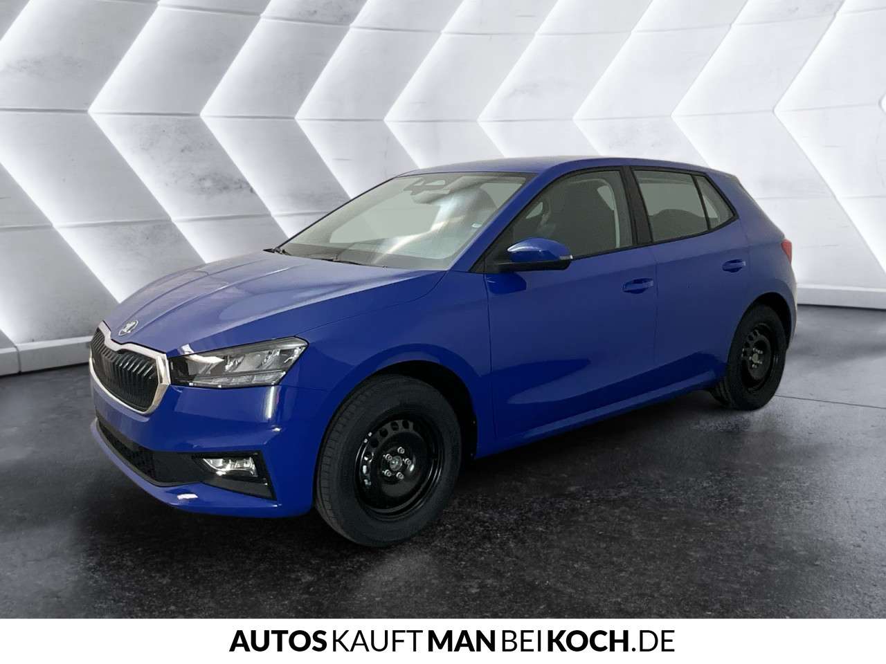 Fahrzeugbild eines Skoda Fabia