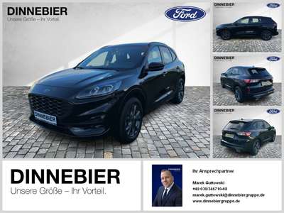 Bild Ford Kuga
