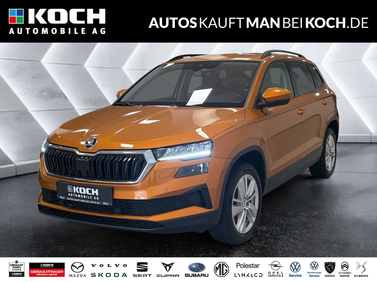 Fahrzeugbild eines Skoda Karoq