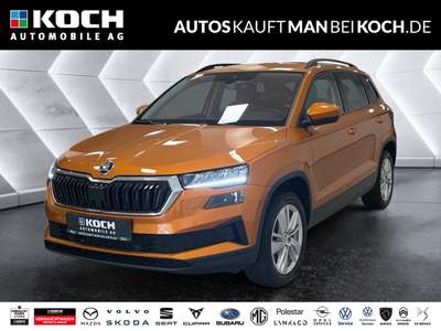 Bild Skoda Karoq
