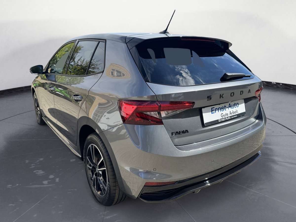Fahrzeugbild eines Skoda Fabia