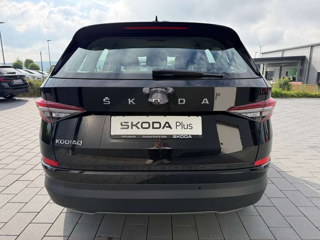 Fahrzeugbild eines Skoda Kodiaq