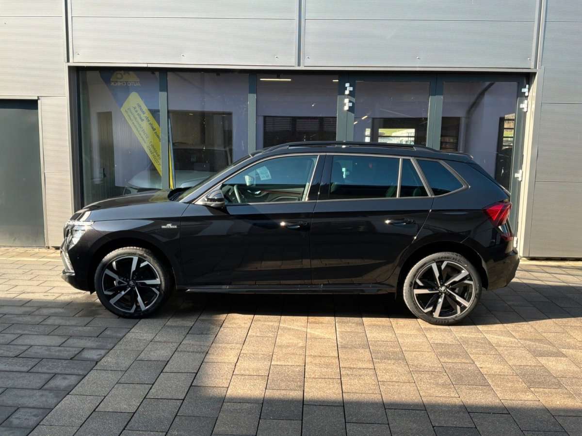 Fahrzeugbild eines Skoda Kamiq