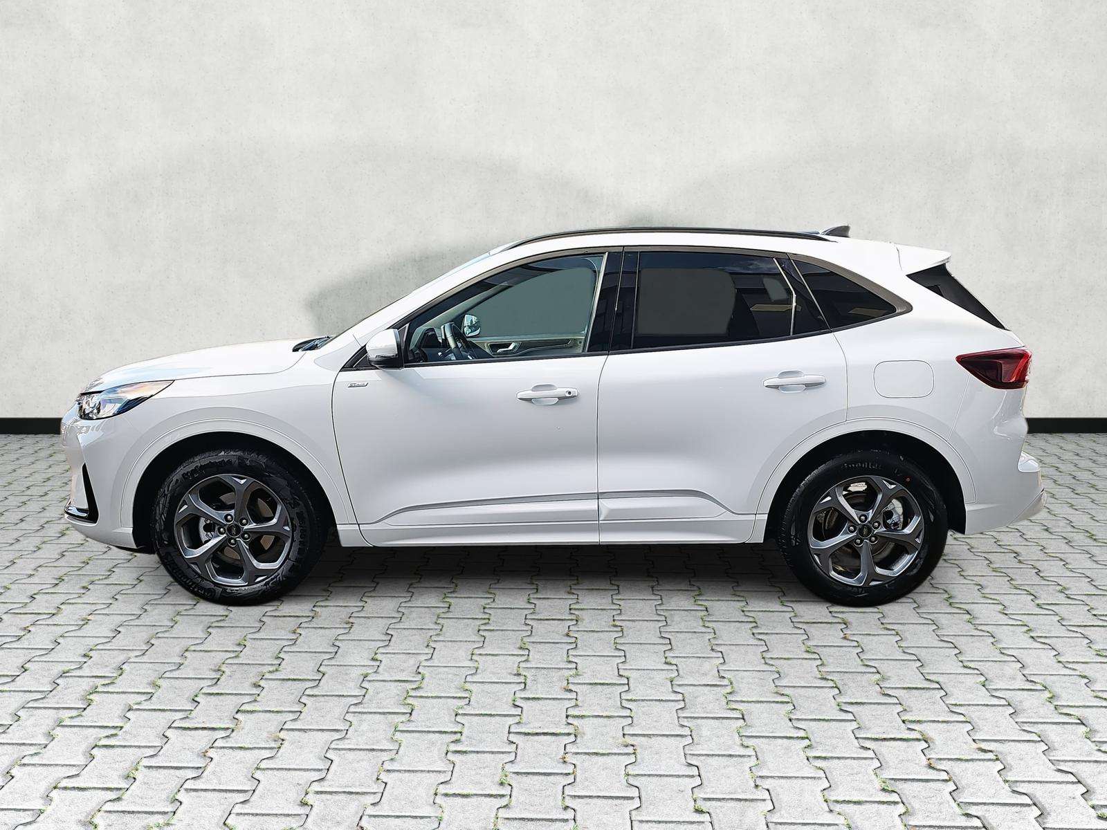 Fahrzeugbild eines Ford Kuga