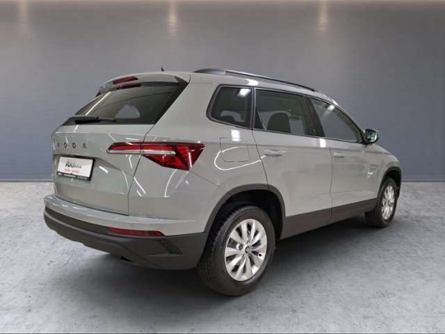 Fahrzeugbild eines Skoda Karoq