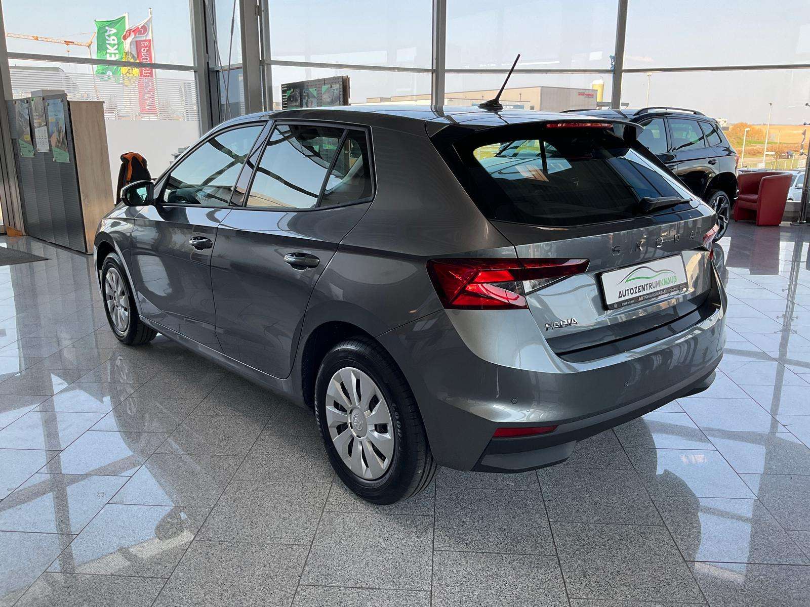 Fahrzeugbild eines Skoda Fabia