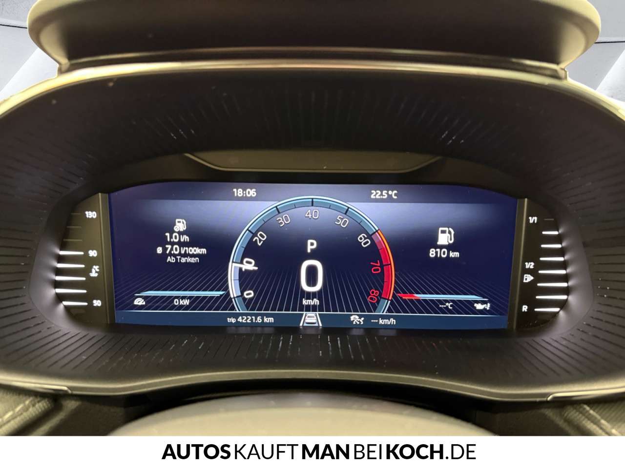 Fahrzeugbild eines Skoda Fabia