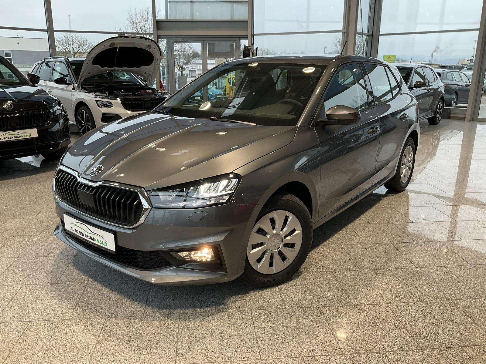 Fahrzeugbild eines Skoda Fabia