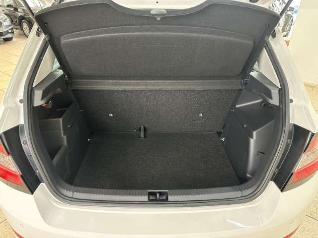 Fahrzeugbild eines Skoda Fabia