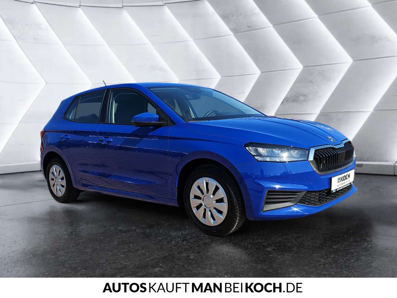 Fahrzeugbild eines Skoda Fabia